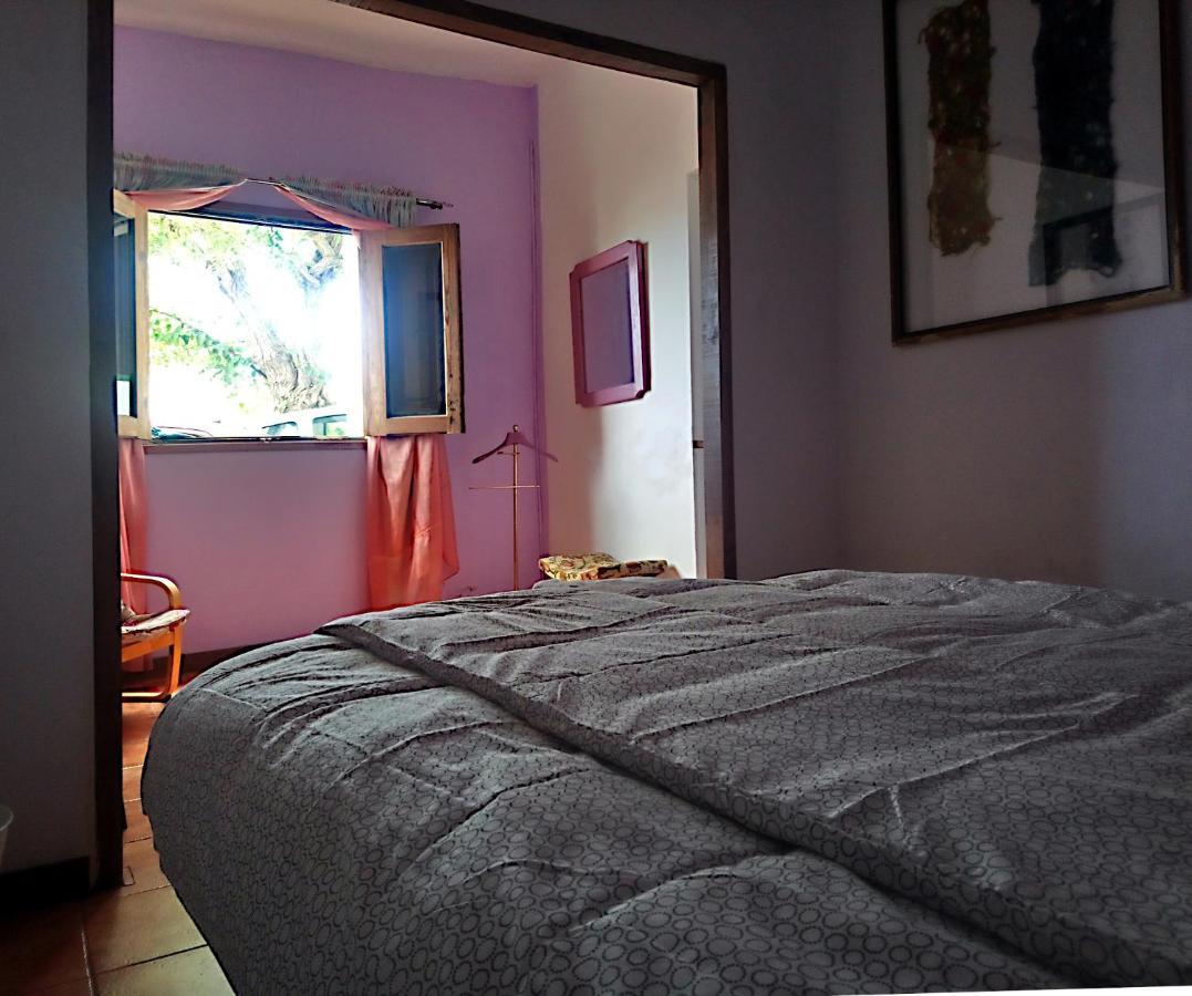The Violet House Muy Cerca Del Aeropuerto Tenerife Norte Сан-Крістобаль-де-ла-Лагуна Екстер'єр фото